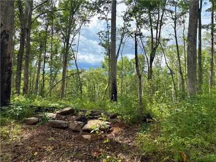 Tract Q The Bear Boulevard active home in Fiddlers Cove, Tamassee, SC