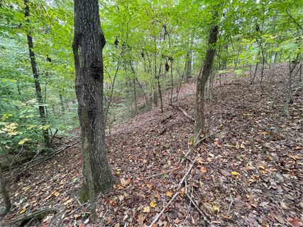 Lot 296 Chickasaw Point Oconee Avenue