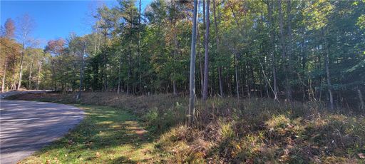 00 Birch Court