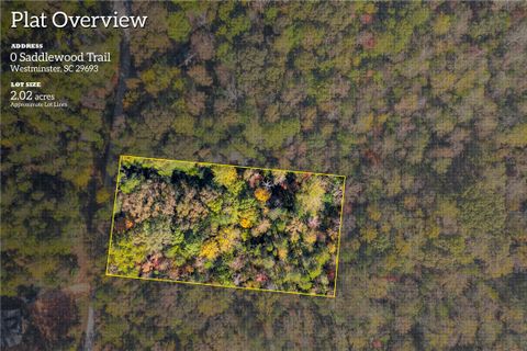 203 Saddlewood Trail