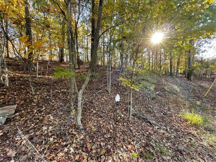 Lot 87 N Foxglove Road
