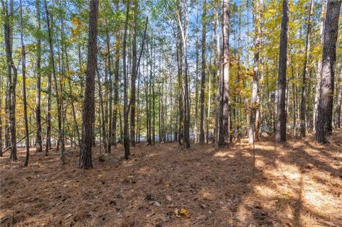 Lot 202 Waterside Crossing (Shorewinds Ct)