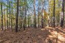 Lot 202 Waterside Crossing (Shorewinds Ct) sold home in Seneca, SC