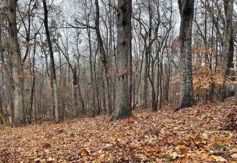 Lot 2134 S Arrowhead Drive