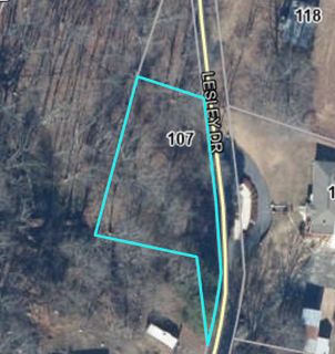 107 Lesley Drive