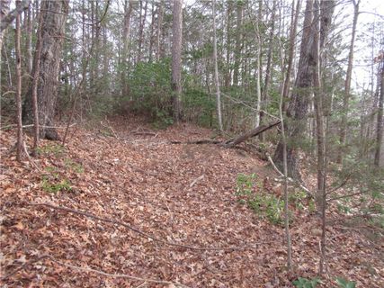 00 Lone Rock Court active home in Rock At Jocassee, Pickens, SC
