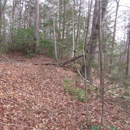 00 Lone Rock Court