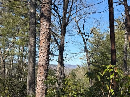 318 Ginseng Drive active home in Cliffs At Keowee Vineyards, Sunset, SC