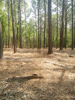 Lot #63 Harbor Point Road
