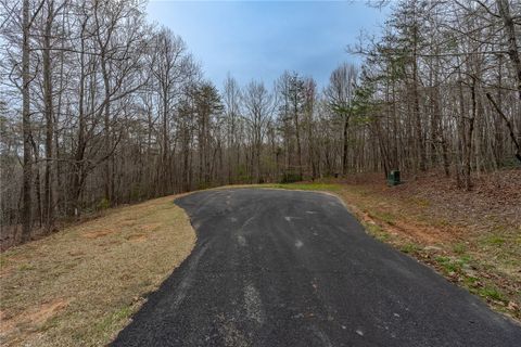 56 Angleblade Road active home in Cliffs At Glassy, Landrum, SC