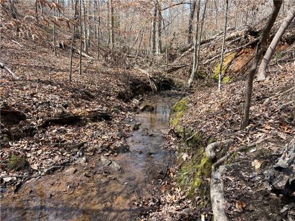 Tract A Cann Road