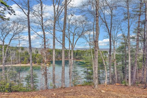731 Barberry Court active home in Cliffs At Keowee Falls South, Salem, SC