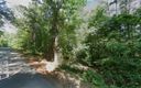 117 E Spartan Drive sold home in Westminster, SC