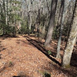00 Golden Hickory Drive