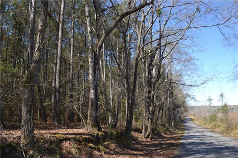 827 Audubon Place sold home in Bridgepointe, Iva, SC