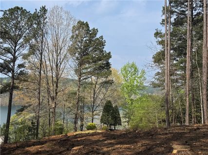 A75 Deep Cove Court active home in The Reserve At Lake Keowee, Sunset, SC