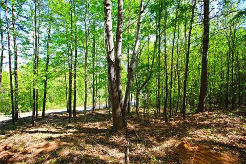 Lot 91 Harbor Point