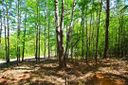 Lot 91 Harbor Point sold home in Seneca, SC
