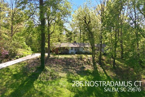 286 Nostradamus Court