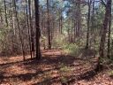 632 Pine Harbor Way sold home in Salem, SC