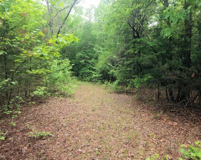 00 Stewart Dairy Road