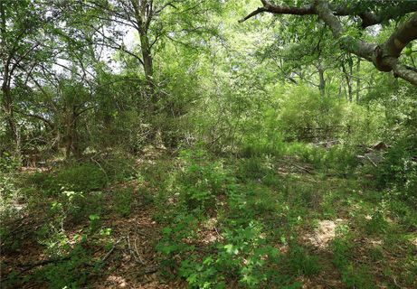 3916 Highway 24