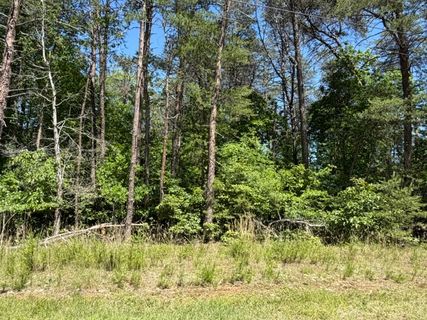 Lots 156 & 157 Beech Drive active home in Foxwood Hills, Westminster, SC