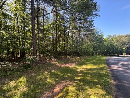 Lot 46 Princess Tree Way