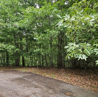 2290 Chicory Court active home in Chickasaw Point, Westminster, SC
