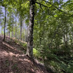 Lot 11 Little Keowee Boulevard