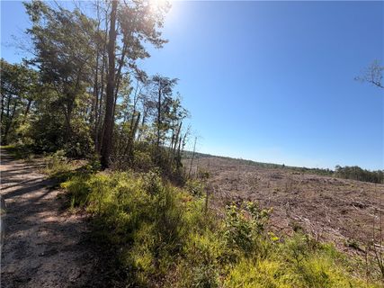 309 Knox Creek Road