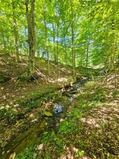 00 Ridgedale Road