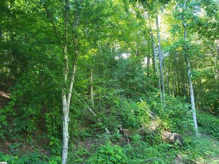 00 Hidden Valley Road