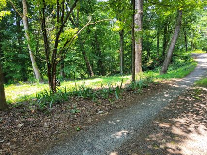 00 Fox Fire Road