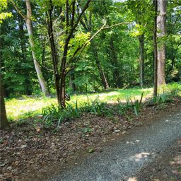 00 Fox Fire Road