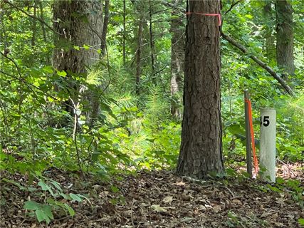 00 Promontory Ridge Lot 45 Stillwater active home in Stillwater, Seneca, SC