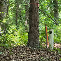 00 Promontory Ridge Lot 45 Stillwater