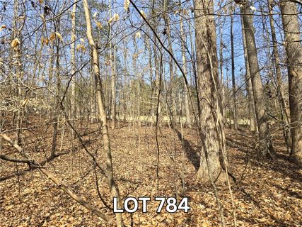 Lot 784 S Hogan Drive active home in Chickasaw Point, Westminster, SC