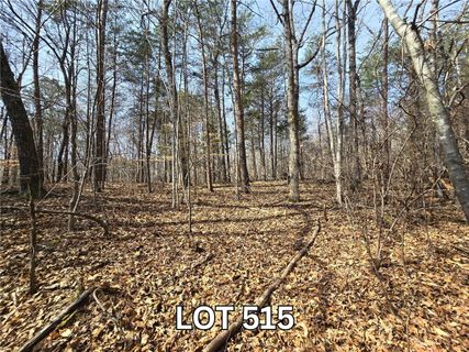 Lot 515 Point Road