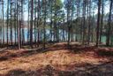 Lot 15 Four Pointes Whisper Lane sold home in Salem, SC