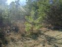 Lot 36 Ravenwood Circle sold home in Piedmont, SC