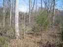 Lot 1 Brookside Drive sold home in Honea Path, SC