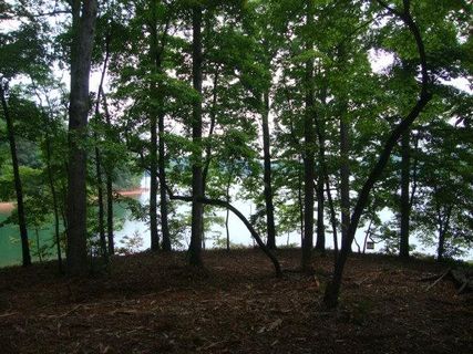 Lt 11 Augusta Point