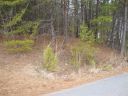 24 Jamlette Drive sold home in Walhalla, SC