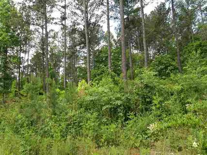 Lot 59 Four Pointes Natures View Drive sold home in Four Pointes North, Salem, SC