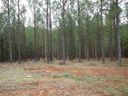 Lt 59 Southview Drive sold home in Iva, SC