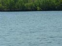 Lt 31 Lakewind Court sold home in Iva, SC