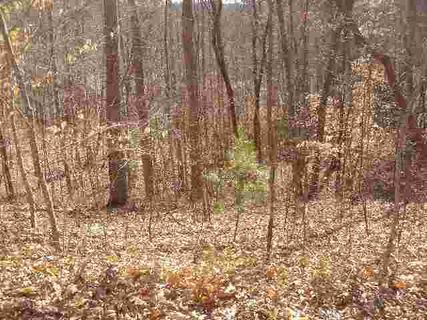 Lot 108 Cedar Creek