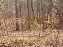 Lot 108 Cedar Creek sold home in Sunset, SC
