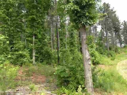 Lot 58 Four Pointes Natures View Drive